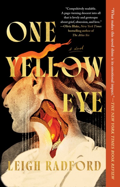 Cover of One Yellow Eye